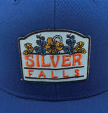 1 of 1, Silver Falls Wool Snapback Hat w/ Flowers Embroidered Patch | Patchmarks Oregon State Parks