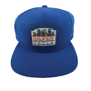 1 of 1, Silver Falls Wool Snapback Hat w/ Flowers Embroidered Patch | Patchmarks Oregon State Parks