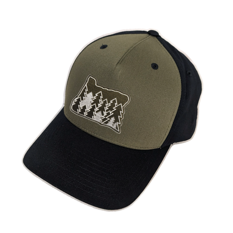 Evergreens - Snapback Hat